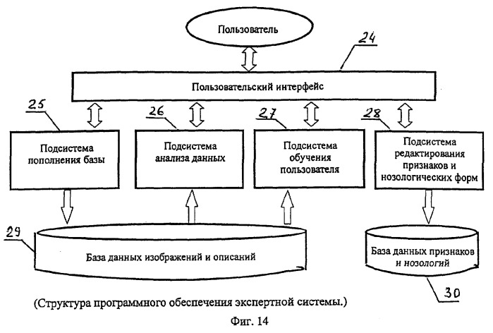 Способ микроскопического исследования образца (патент 2318201)