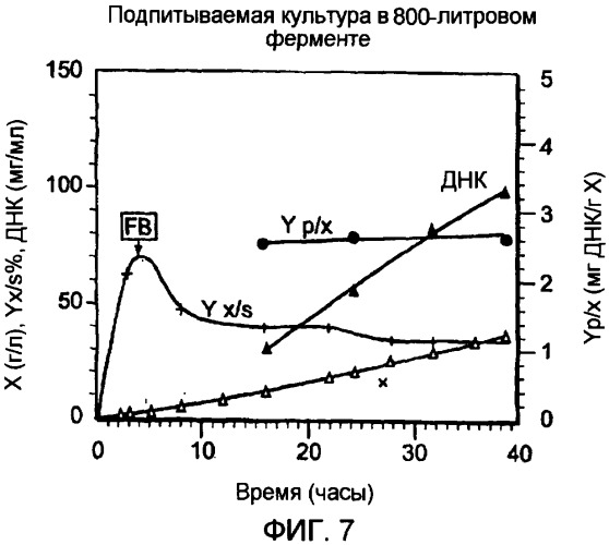 Кольцевая молекула днк, характеризующаяся зависимой от условий точкой начала репликации, способ их получения и их применение в генной терапии (патент 2307870)