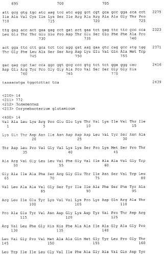 Гены corynebacterium glutamicum, кодирующие белки резистентности и толерантности к стрессам (патент 2303635)