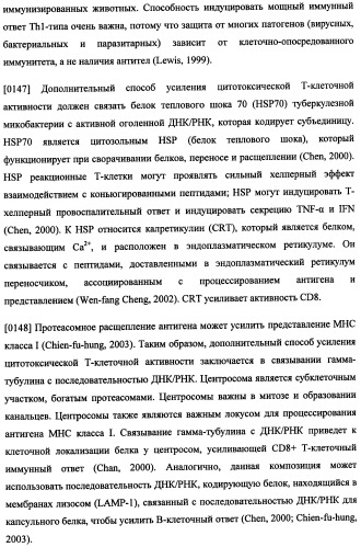 Иммуногенная композиция и способ разработки вакцины, основанной на участках матричного белка вич (патент 2403915)