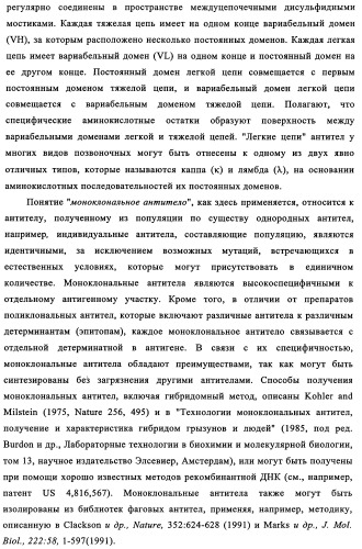 Биспецифические антитела к erb-b и их применение для лечения опухолей (патент 2349340)