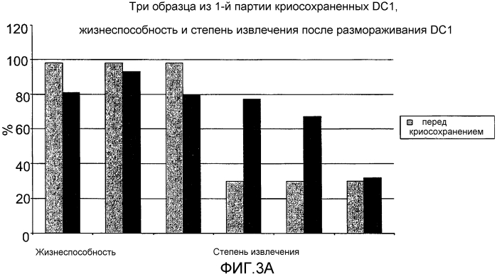 Система и способ получения и хранения активированных зрелых дендритных клеток (патент 2575978)