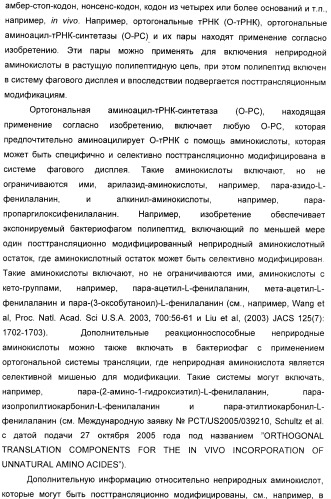 Селективная посттрансляционная модификация экспонируемых фагами полипептидов (патент 2459866)