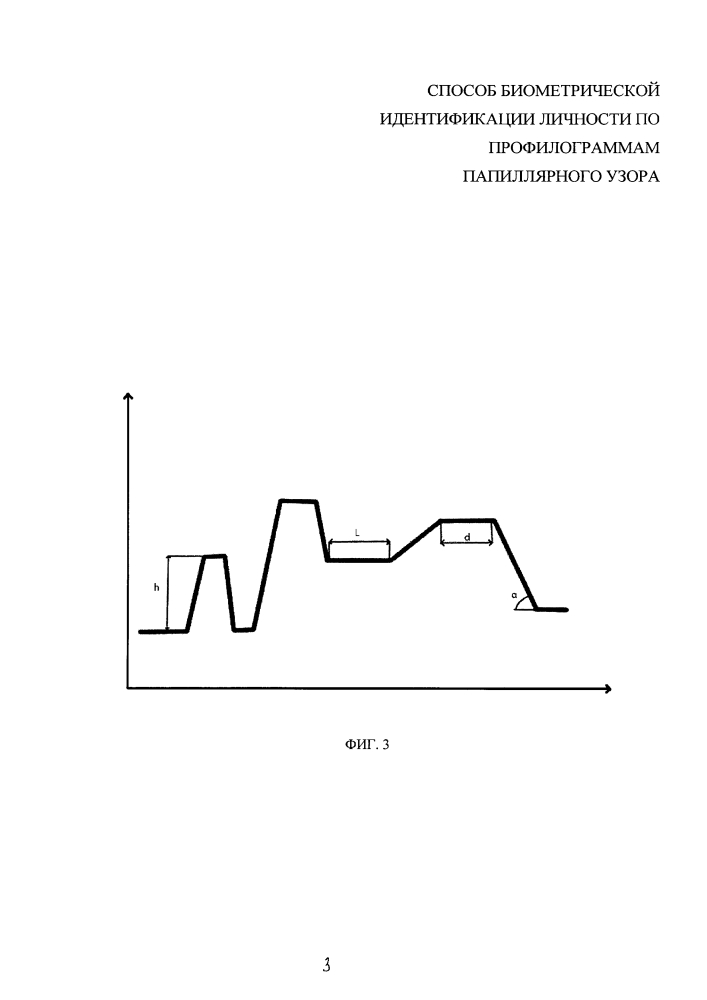 Способ биометрической идентификации личности по профилограммам папиллярного узора (патент 2622879)