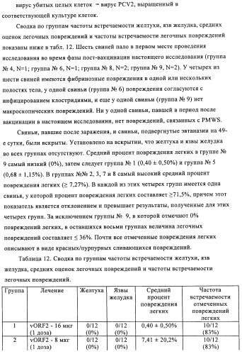 Поливалентные иммуногенные композиции pcv2 и способы получения таких композиций (патент 2488407)