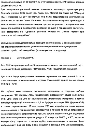 Новые последовательности нуклеиновых кислот и их применение в способах достижения устойчивости к патогенам в растениях (патент 2346985)