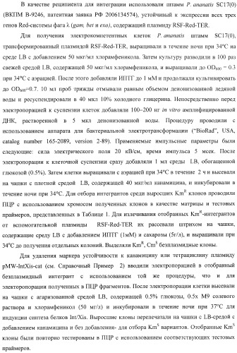 Бактерия, принадлежащая к роду pantoea, - продуцент l-аспартата или метаболита, являющегося производным l-аспартата, и способ получения l-аспартата или метаболита, являющегося производным l-аспартата (патент 2411289)