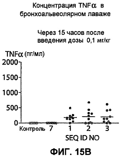Полумягкие иммуностимулирующие олигонуклеотиды с-класса (патент 2393223)