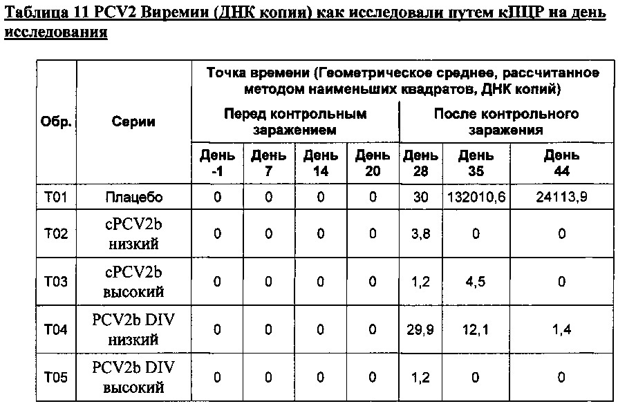 Pcv2b дивергентная вакцинная композиция и способы её применения (патент 2662685)