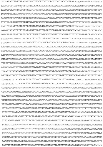 Применение s1p (патент 2362565)