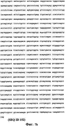 Экспонирование т-клеточных рецепторов (патент 2346004)