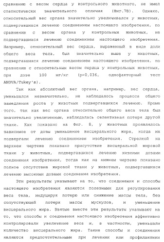 Лечение диабета (патент 2363465)