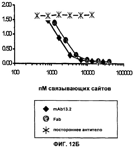 Антитела против интерлейкина-13 человека и их применение (патент 2427589)