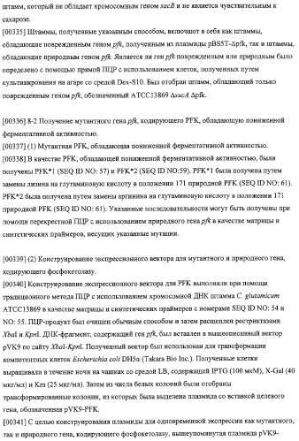 Использование фосфокетолазы для продукции полезных метаболитов (патент 2322496)