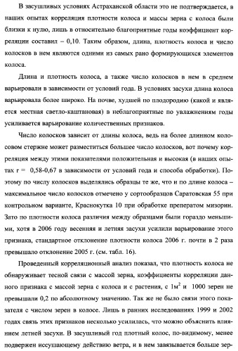 Способ возделывания яровой пшеницы предпочтительно в зоне светло-каштановых почв нижнего поволжья (варианты) (патент 2348137)