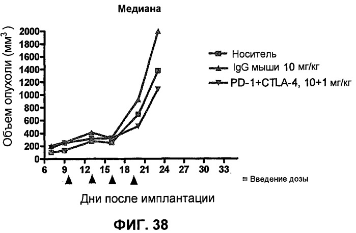 Моноклональные антитела человека к белку программируемой смерти 1 (pd-1) и способы лечения рака с использованием анти-pd-1-антител самостоятельно или в комбинации с другими иммунотерапевтическими средствами (патент 2494107)