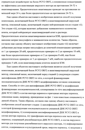 Поливалентные иммуногенные композиции pcv2 и способы получения таких композиций (патент 2488407)