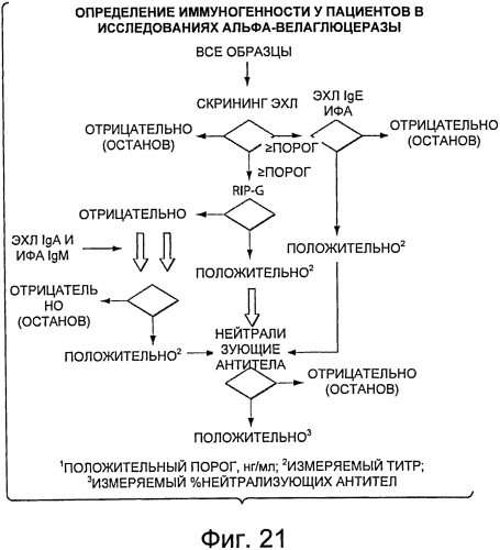 Композиции и способы для лечения болезни гоше (патент 2568831)