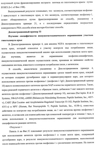 Способ получения фактора, связанного с контролем над потреблением пищи и/или массой тела, полипептид, обладающий активностью подавления потребления пищи и/или прибавления в весе, молекула нуклеиновой кислоты, кодирующая полипептид, способы и применение полипептида (патент 2418002)