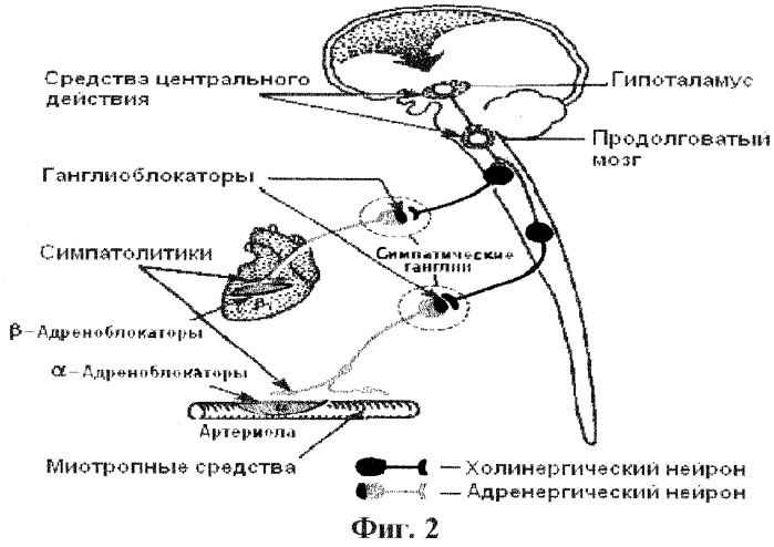 Скрининговый способ выявления лиц, принимающих наркотические средства (патент 2252696)