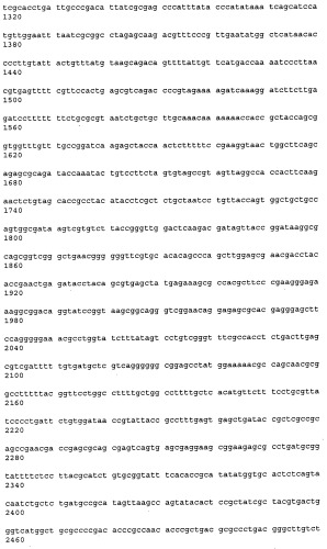 Антитела к рецептору конечных продуктов глубокого гликирования (rage) и их применения (патент 2518351)