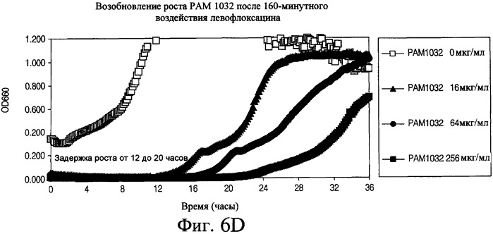 Аэрозольные фторхинолоны и их применения (патент 2428986)