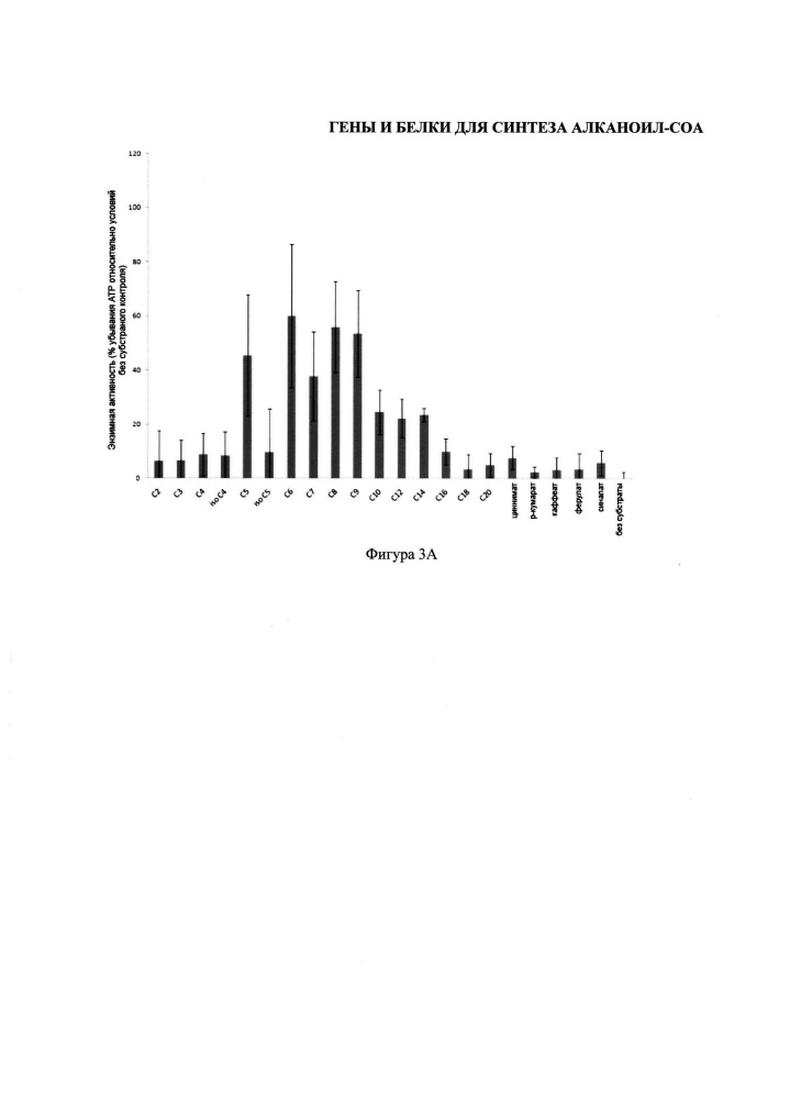 Гены и белки для синтеза алканоил-соа (патент 2650766)