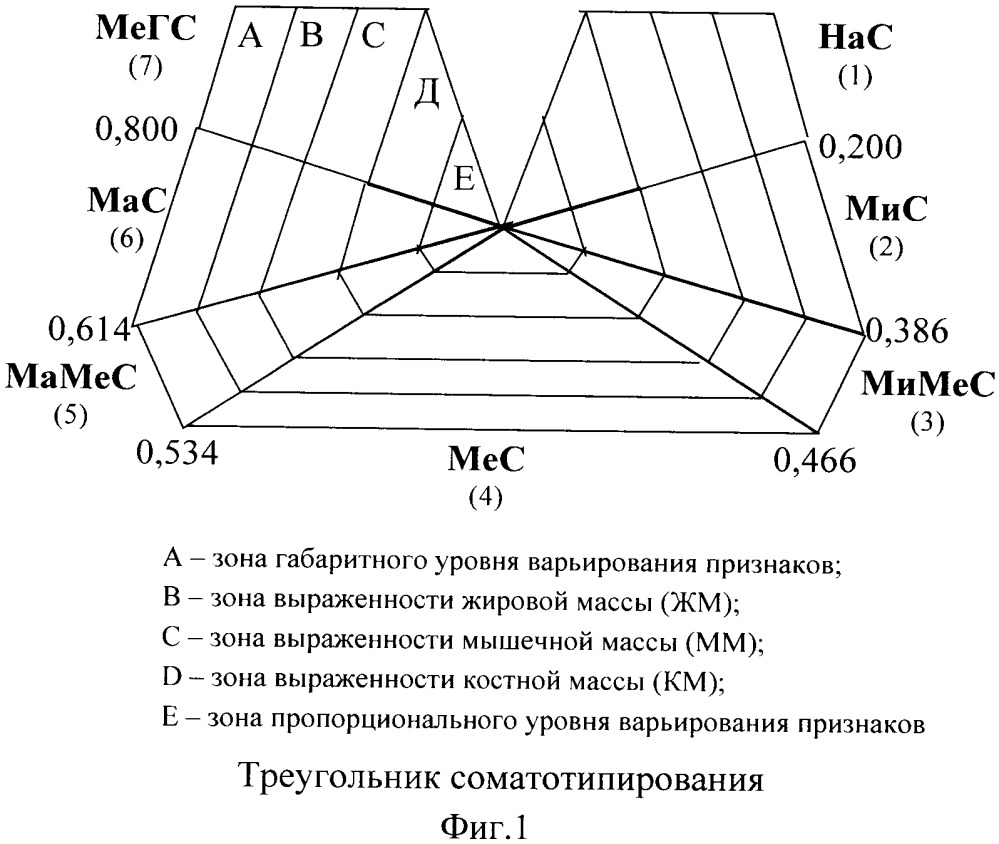 Способ прогнозирования риска развития доброкачественных заболеваний молочной железы у женщин разных соматотипов (патент 2657928)