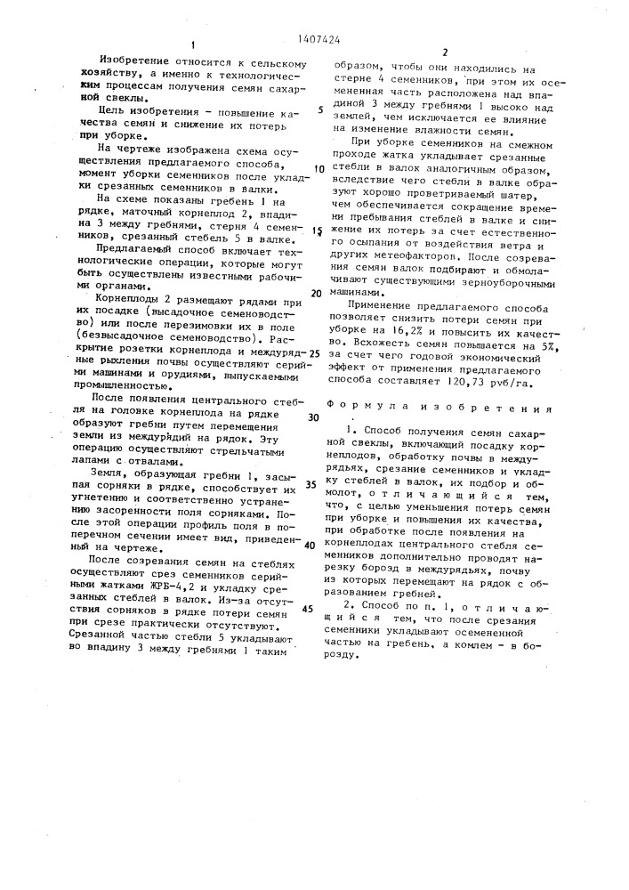 Способ получения семян сахарной свеклы (патент 1407424)
