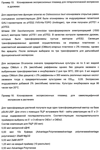 Способ получения полиненасыщенных кислот жирного ряда в трансгенных организмах (патент 2447147)