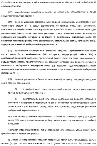 Улучшенная трансформация сои (патент 2389797)