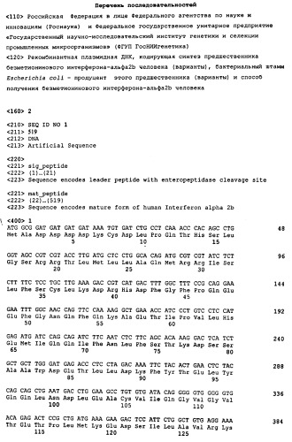 Способ получения безметионинового интерферона-альфа2b человека (патент 2432401)