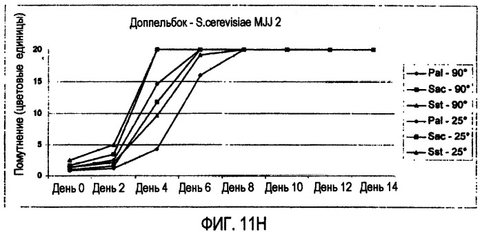 Микробиологически стабилизированное пиво (патент 2380400)