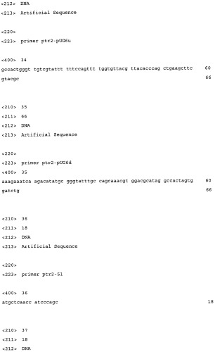 Дрожжевой экстракт, содержащий гамма-glu-x или гамма-glu-x-gly, и способ его получения (патент 2496864)