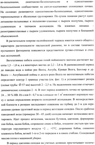 Способ прогнозирования семенной продуктивности солодки (патент 2364078)