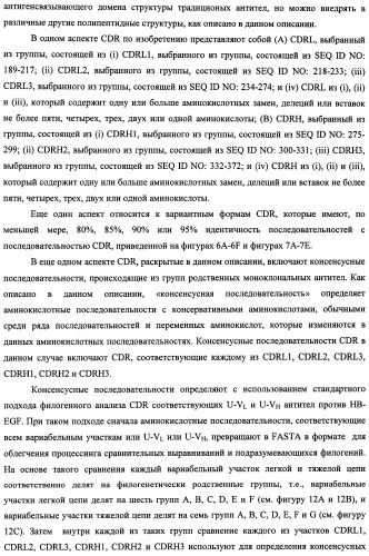 Белки, связывающие антиген фактор роста, подобный гепаринсвязывающему эпидермальному фактору роста (патент 2504551)