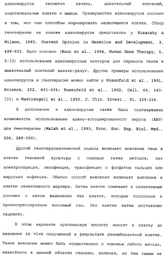 Поликлональное антитело против nogo, фармацевтическая композиция и применение антитела для изготовления лекарственного средства (патент 2432364)