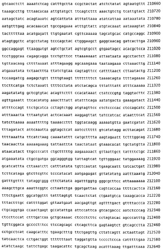 Применение s1p (патент 2362565)