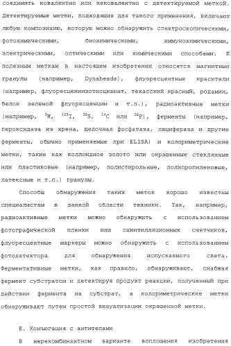 Scfv против egfrviii с улучшенной цитотоксичностью и выходом, иммунотоксины на их основе и способы их применения (патент 2317999)