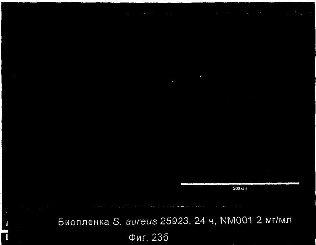 Ингибирование организмов биопленки (патент 2548786)