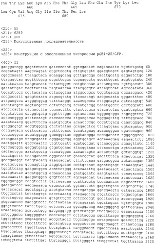 Иммунологические тесты на активность эндопептидаз с измененной нацеленностью (патент 2543650)