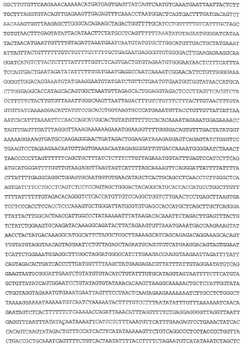 Применение s1p (патент 2362565)