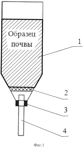 Способ исследования особенностей поведения загрязняющих веществ в почвах (патент 2590554)