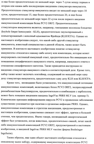 Поливалентные иммуногенные композиции pcv2 и способы получения таких композиций (патент 2488407)