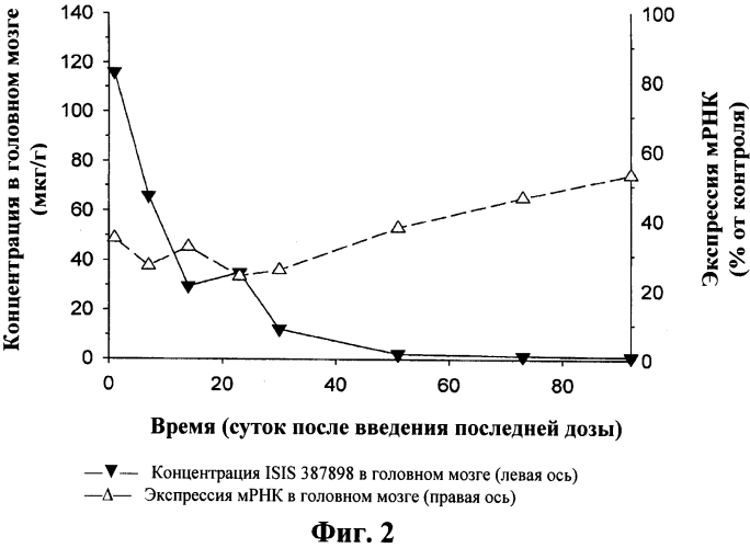 Модуляция экспрессии гентингтина (патент 2562861)