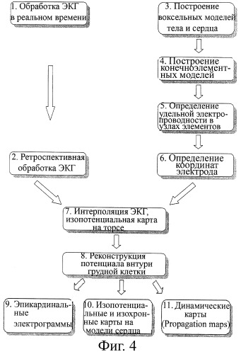 Способ неинвазивного электрофизиологического исследования сердца (патент 2409313)