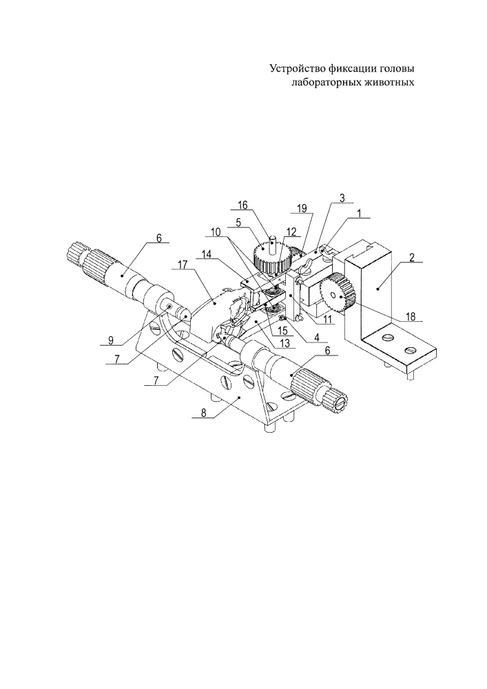Устройство фиксации головы лабораторных животных (патент 2629777)