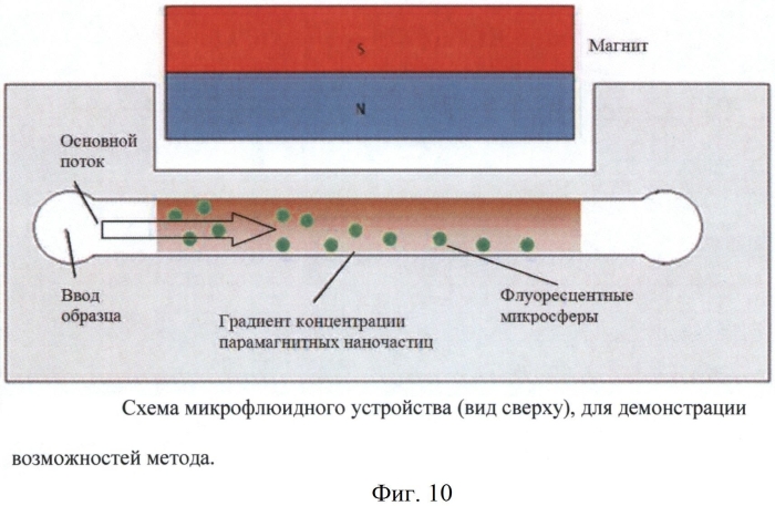 Способ манипулирования и сортировки объектов различной природы, микронного и субмикронного масштаба в микрофлюидных системах при помощи градиентов концентрации парамагнитных наночастиц (патент 2583928)