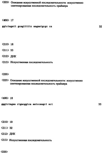 Ген синтеза клеточной стенки грибков (патент 2286387)