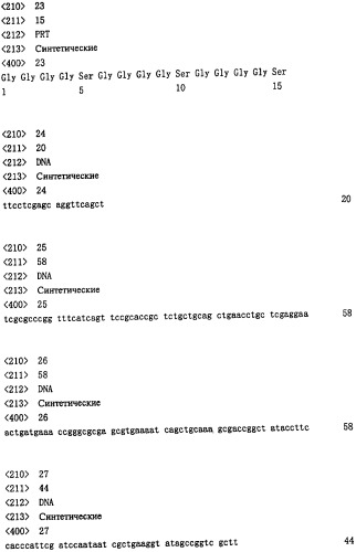 Одноцепочечное триспецифическое антитело рекомбинант анти-сеа/cd3/cd28, полученный путем генетической инженерии (патент 2361878)